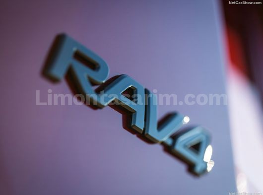 Arazinin Kralı RAW4